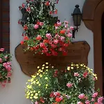 Gletschergarten 3*