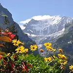 Gletschergarten Ξενοδοχείο 3*