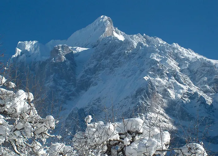 Hotel Gletschergarten 3*