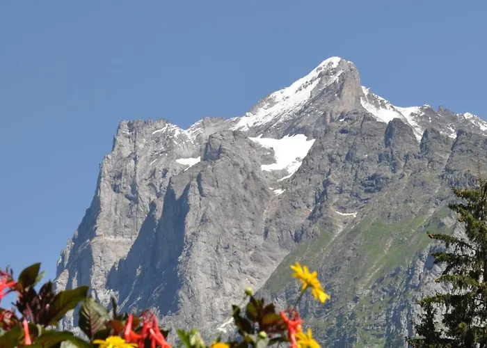格兰彻卡顿酒店
