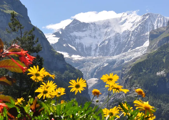 格兰彻卡顿酒店 酒店 3*